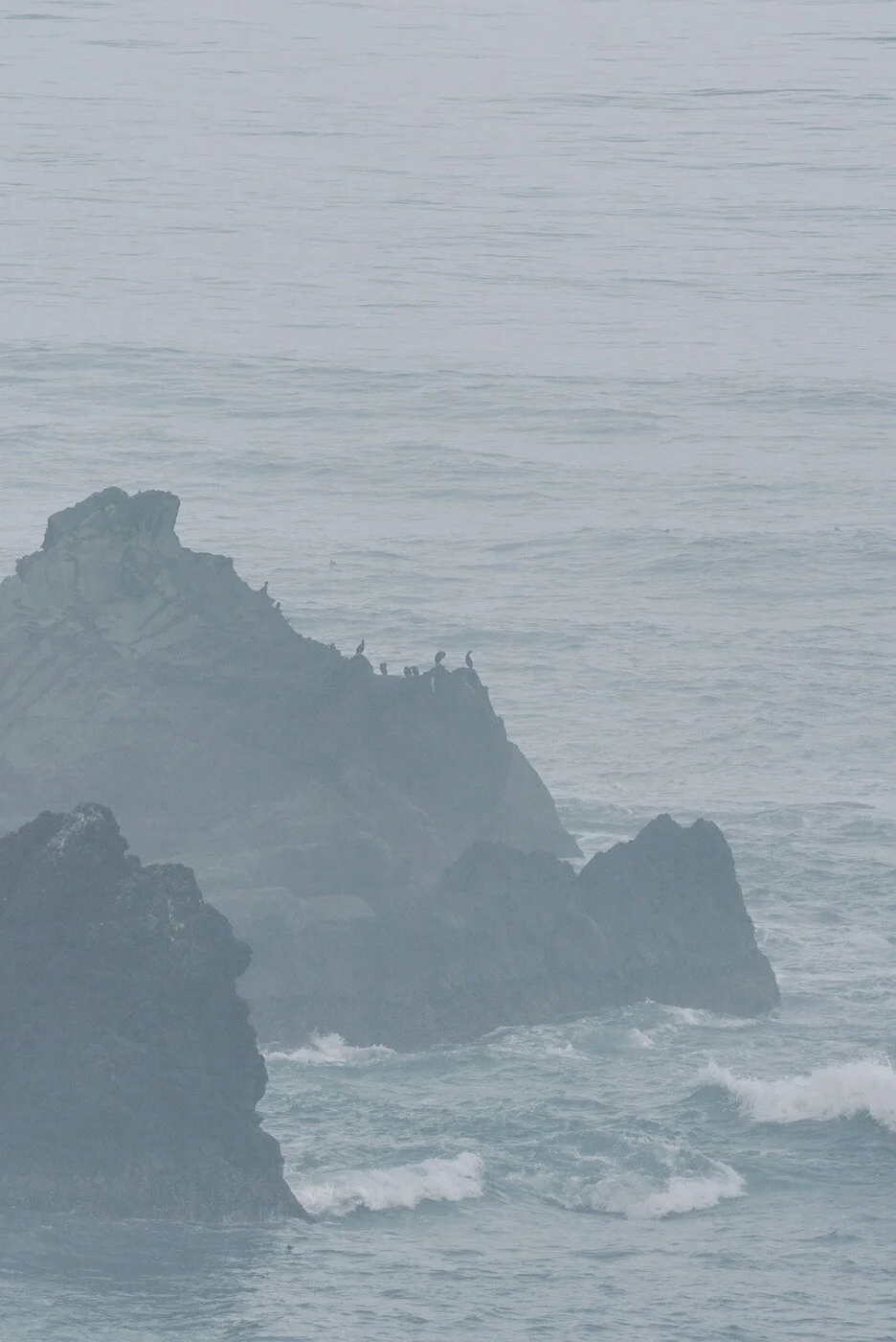 Bandon Summer Quick Edits 227.JPG