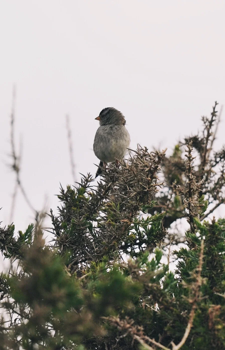 Bandon Summer Quick Edits 229.JPG