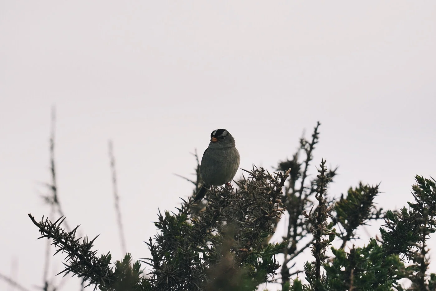 Bandon Summer Quick Edits 231.JPG