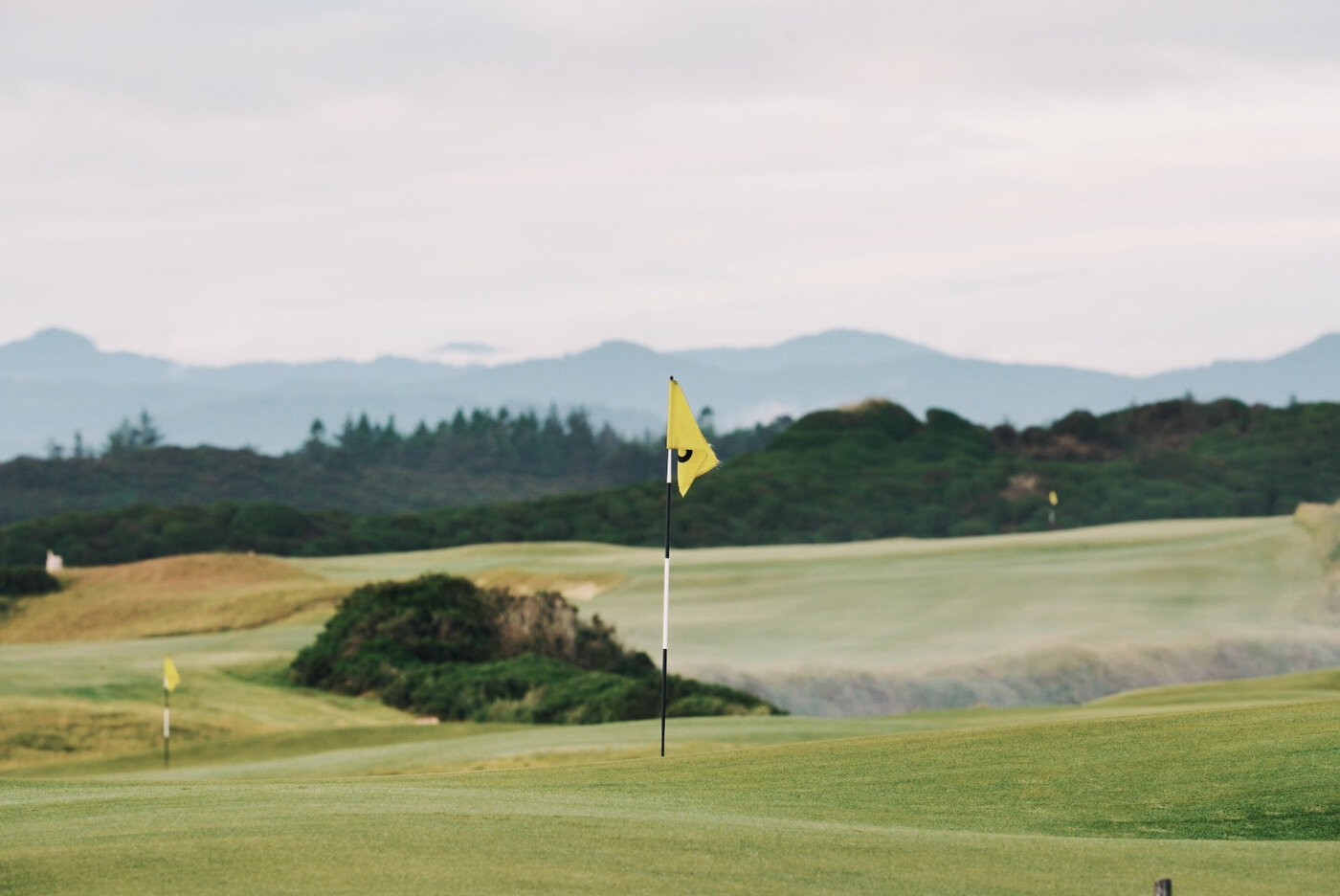 Bandon Summer Quick Edits 233.JPG