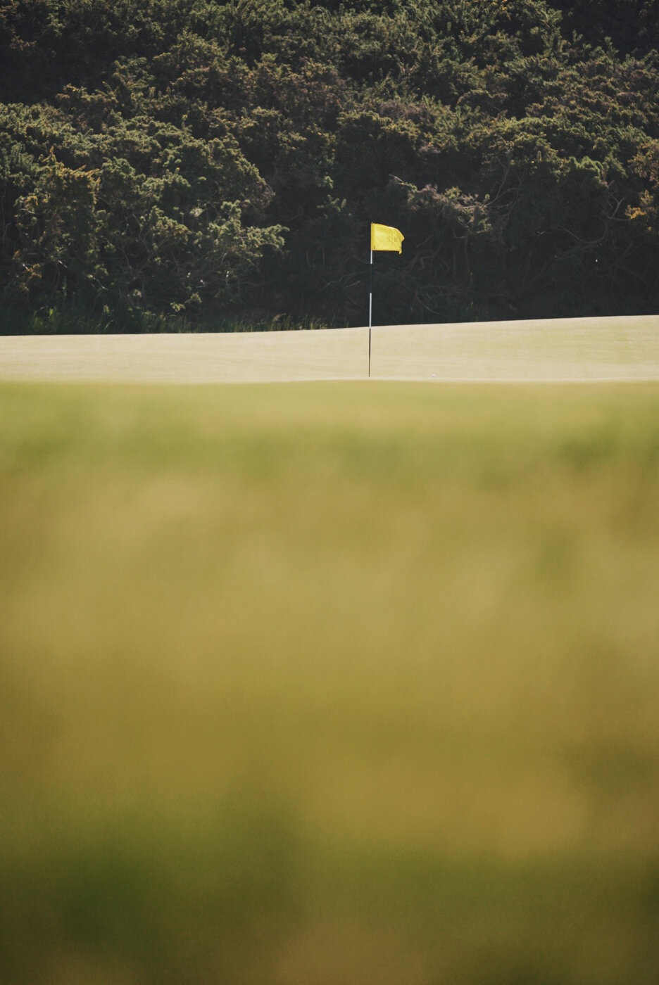 Bandon Summer Quick Edits 250.JPG