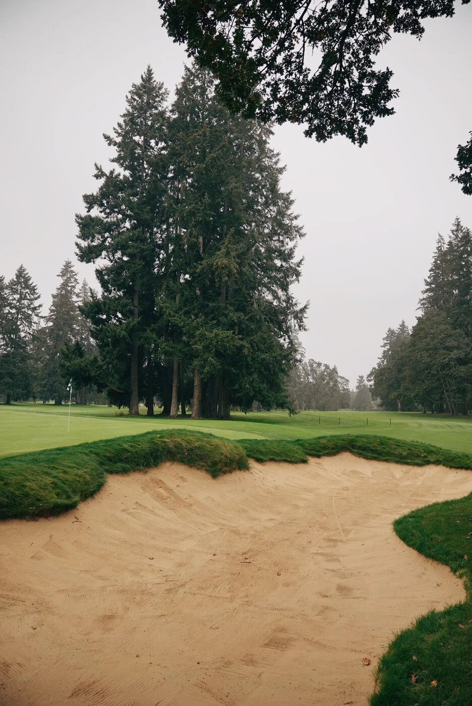 TACOMA CGC - 100.JPG