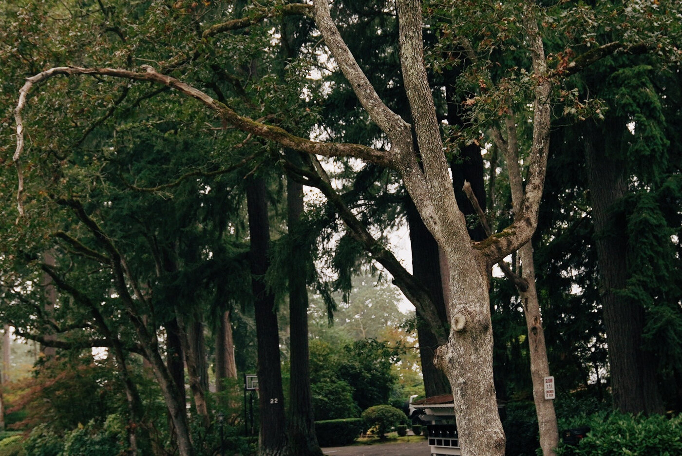 TACOMA CGC - 107.JPG