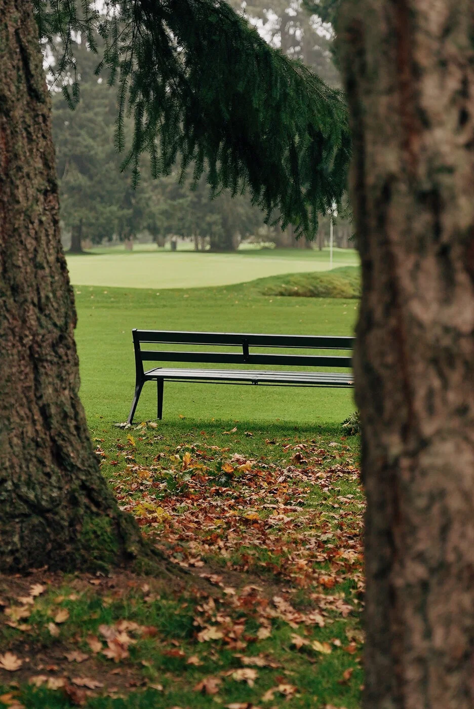 TACOMA CGC - 108.JPG