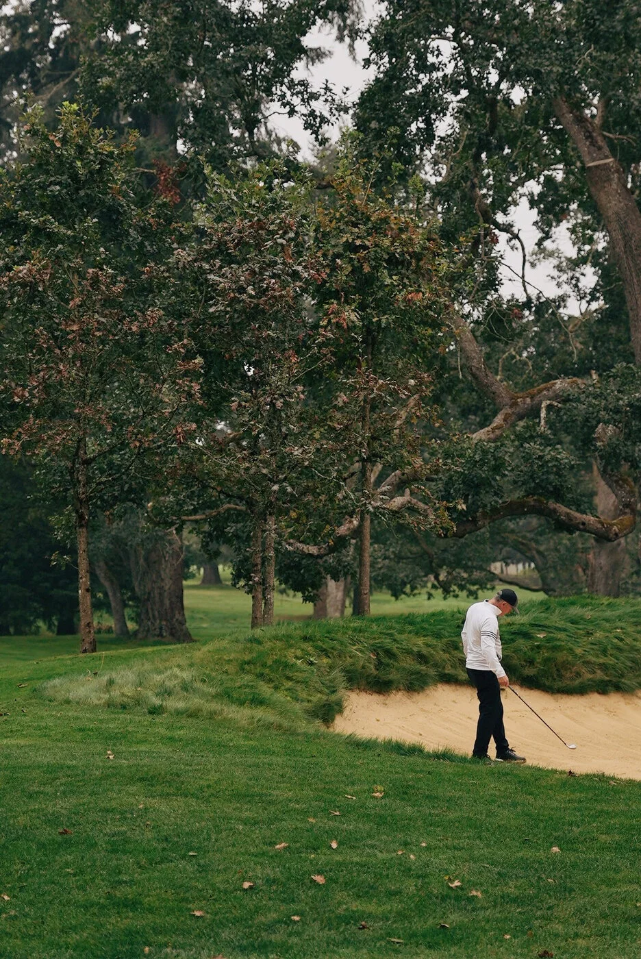 TACOMA CGC - 110.JPG