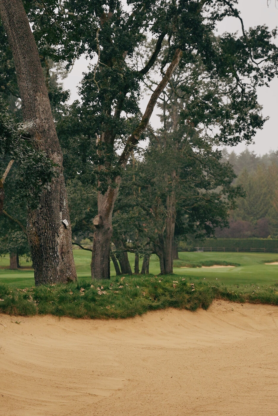 TACOMA CGC - 112.JPG