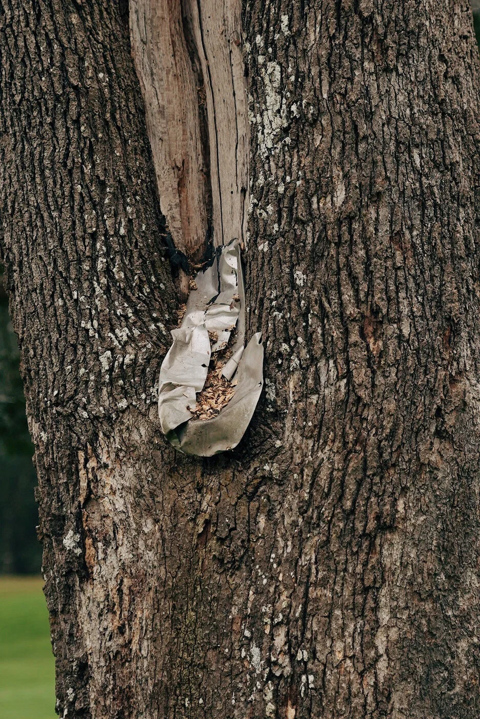 TACOMA CGC - 113.JPG