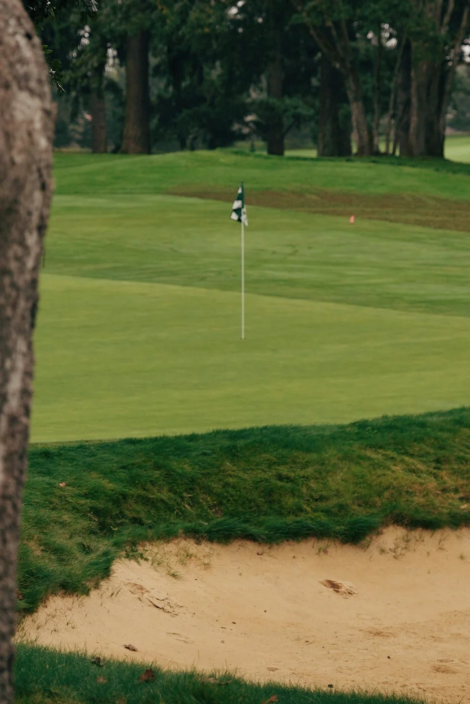 TACOMA CGC - 114.JPG