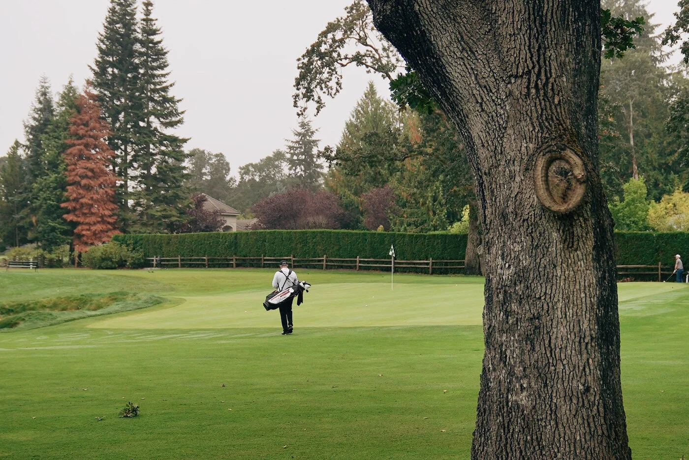 TACOMA CGC - 117.JPG