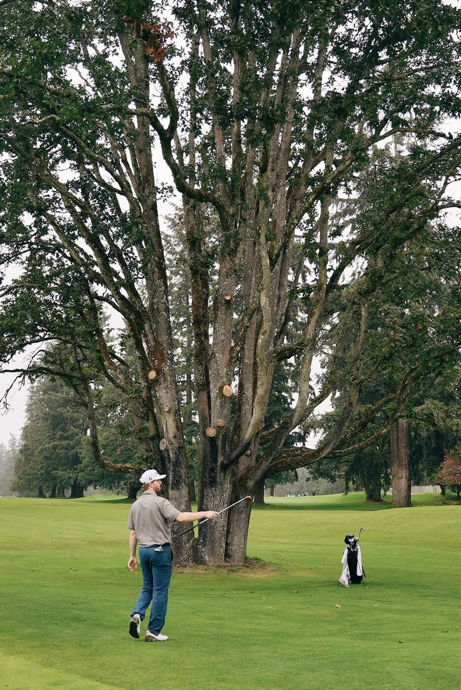 TACOMA CGC - 123.JPG