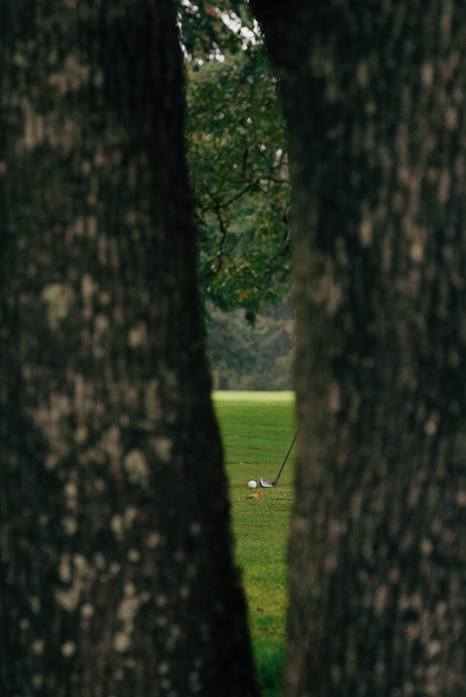 TACOMA CGC - 134.JPG