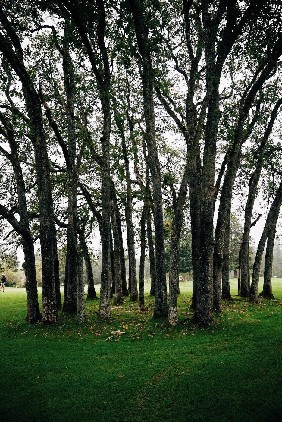 TACOMA CGC - 138.JPG