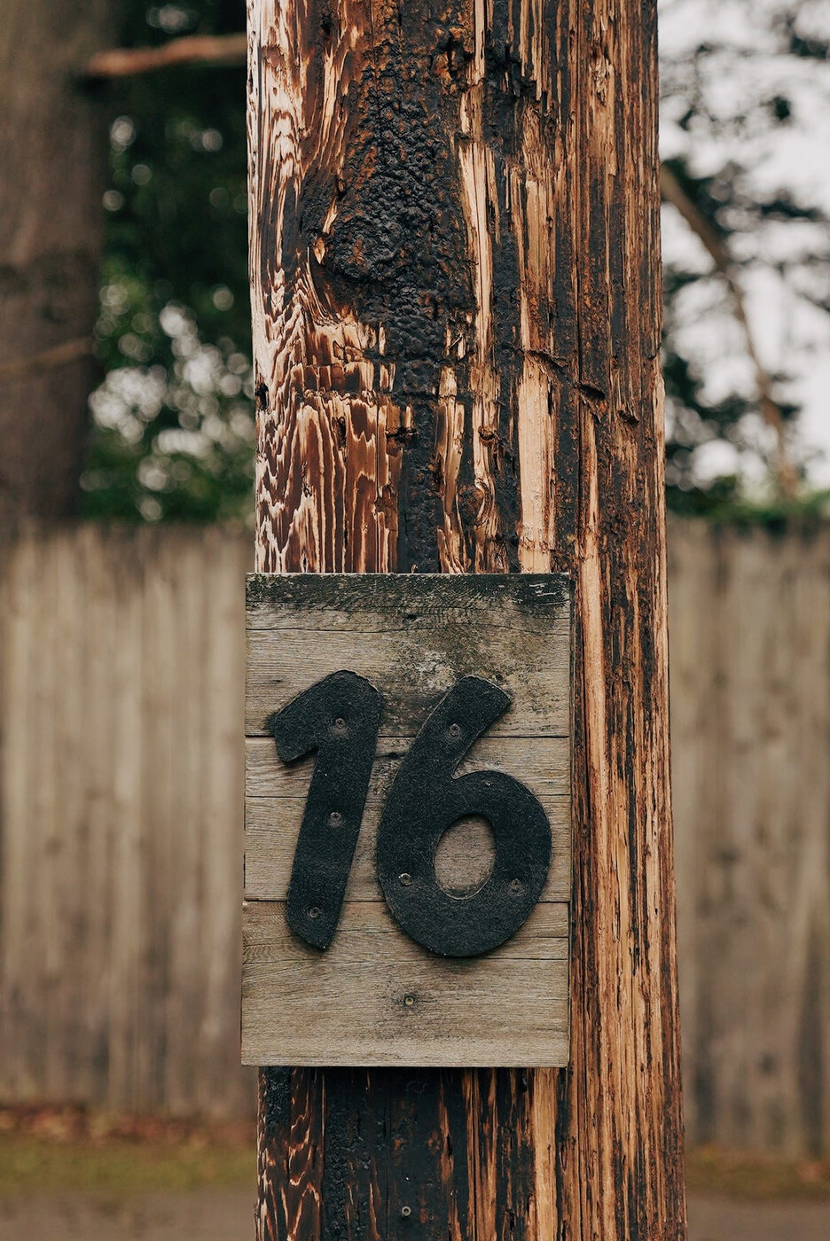 TACOMA CGC - 146.JPG