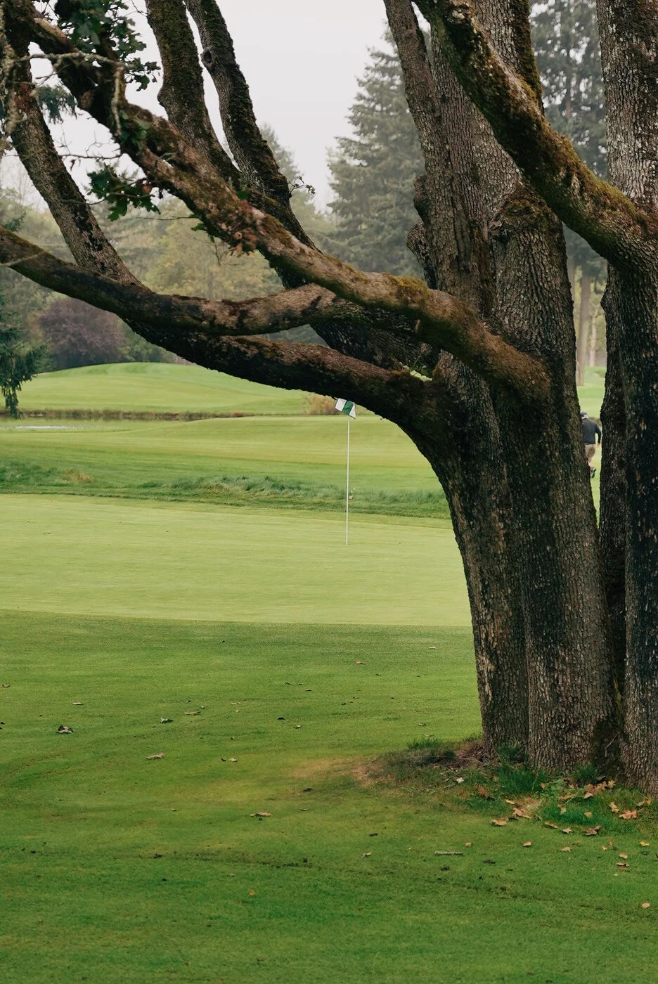 TACOMA CGC - 149.JPG