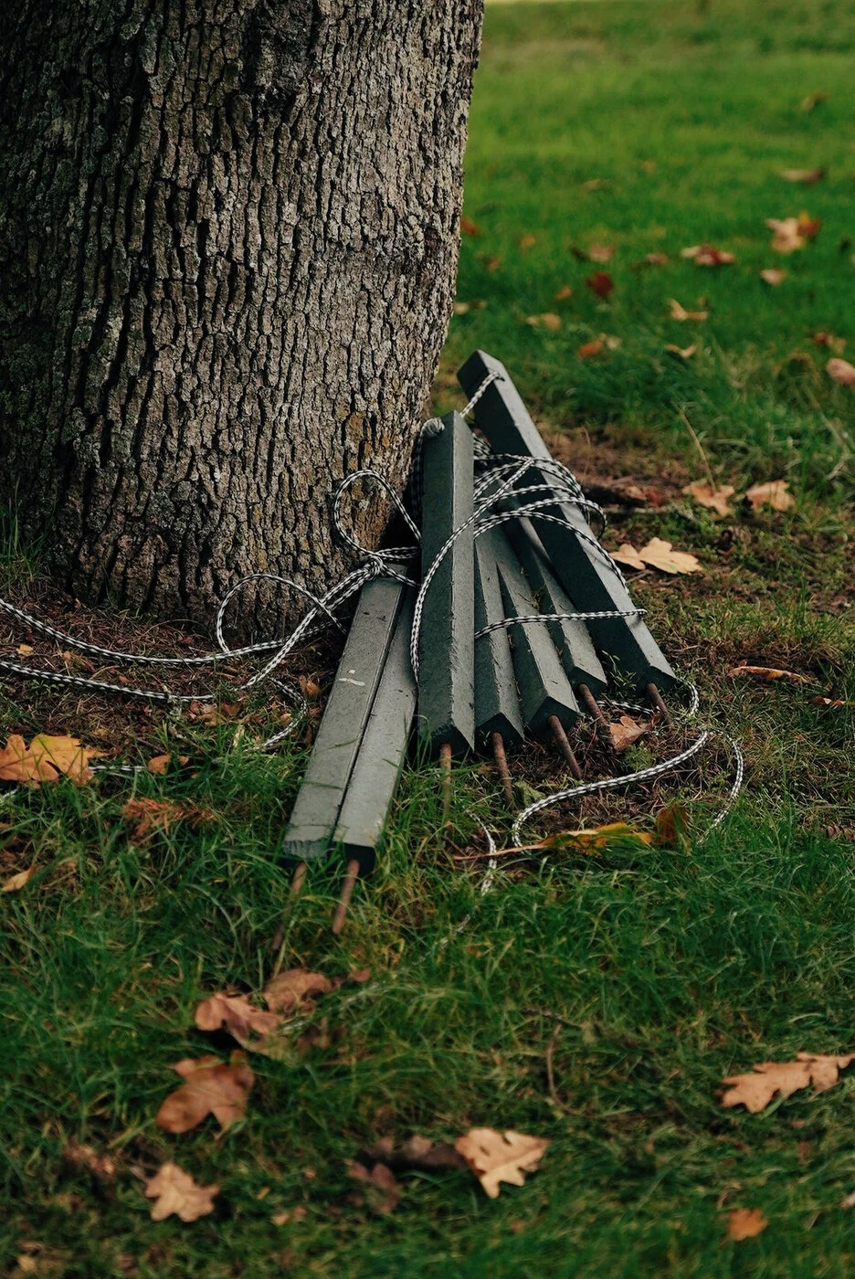 TACOMA CGC - 151.JPG