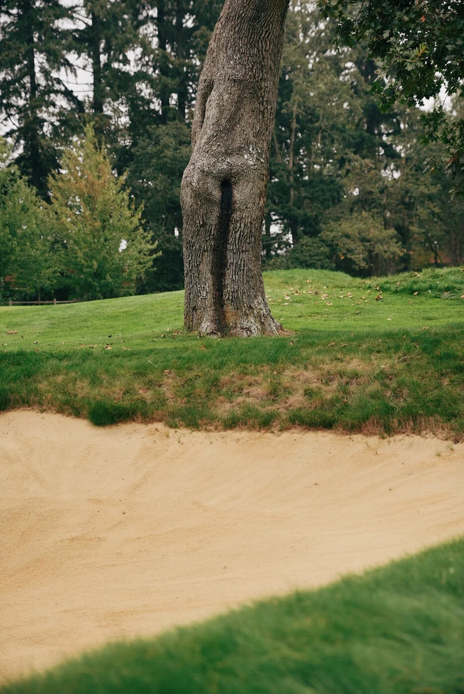 TACOMA CGC - 155.JPG