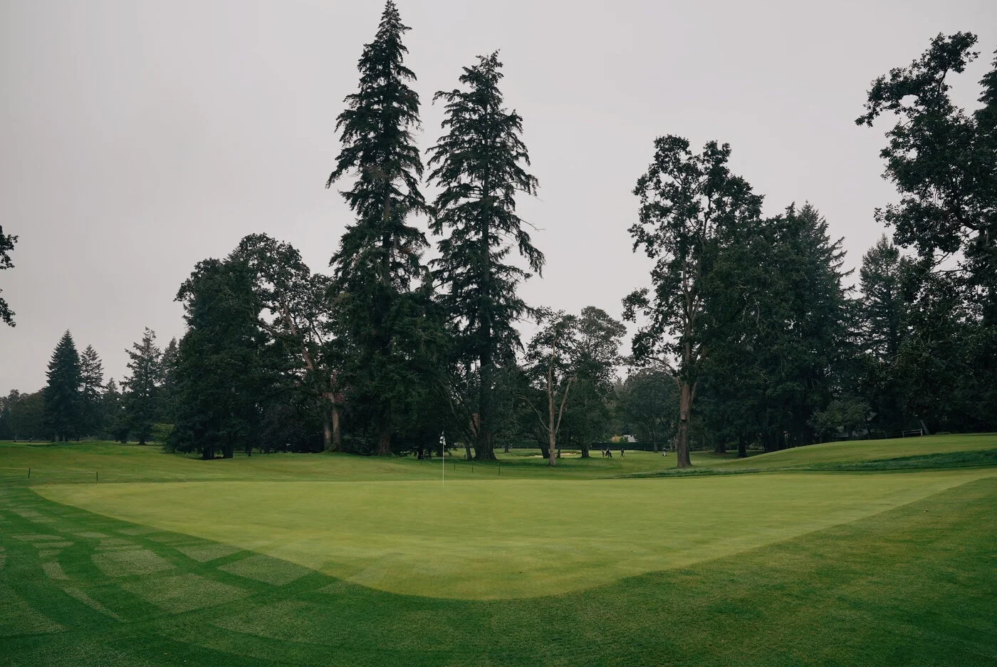 TACOMA CGC - 158.JPG