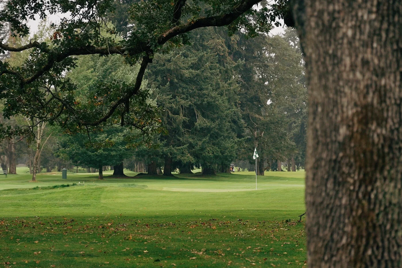 TACOMA CGC - 168.JPG