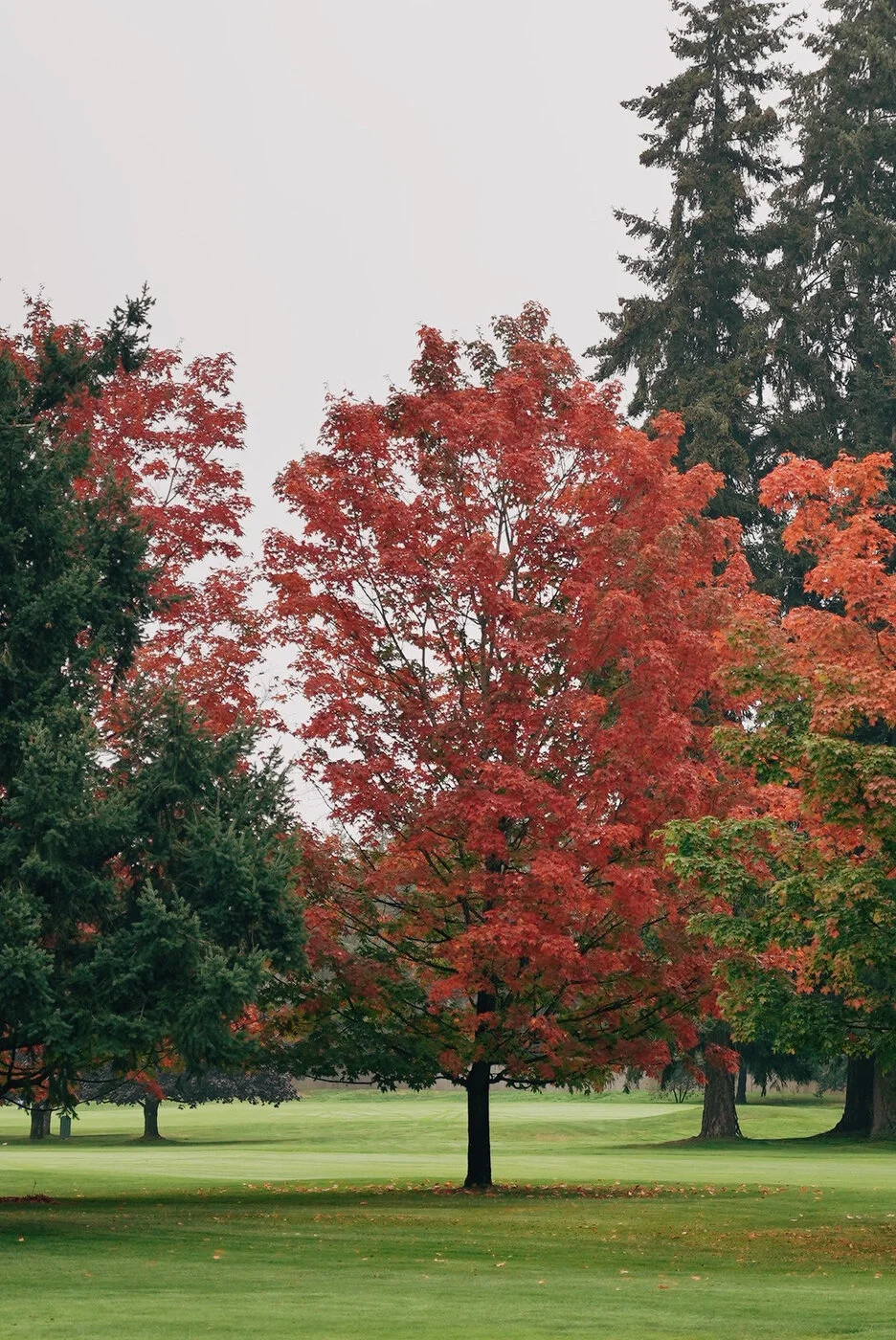 TACOMA CGC - 172.JPG