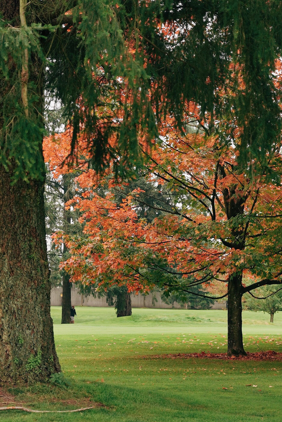 TACOMA CGC - 173.JPG