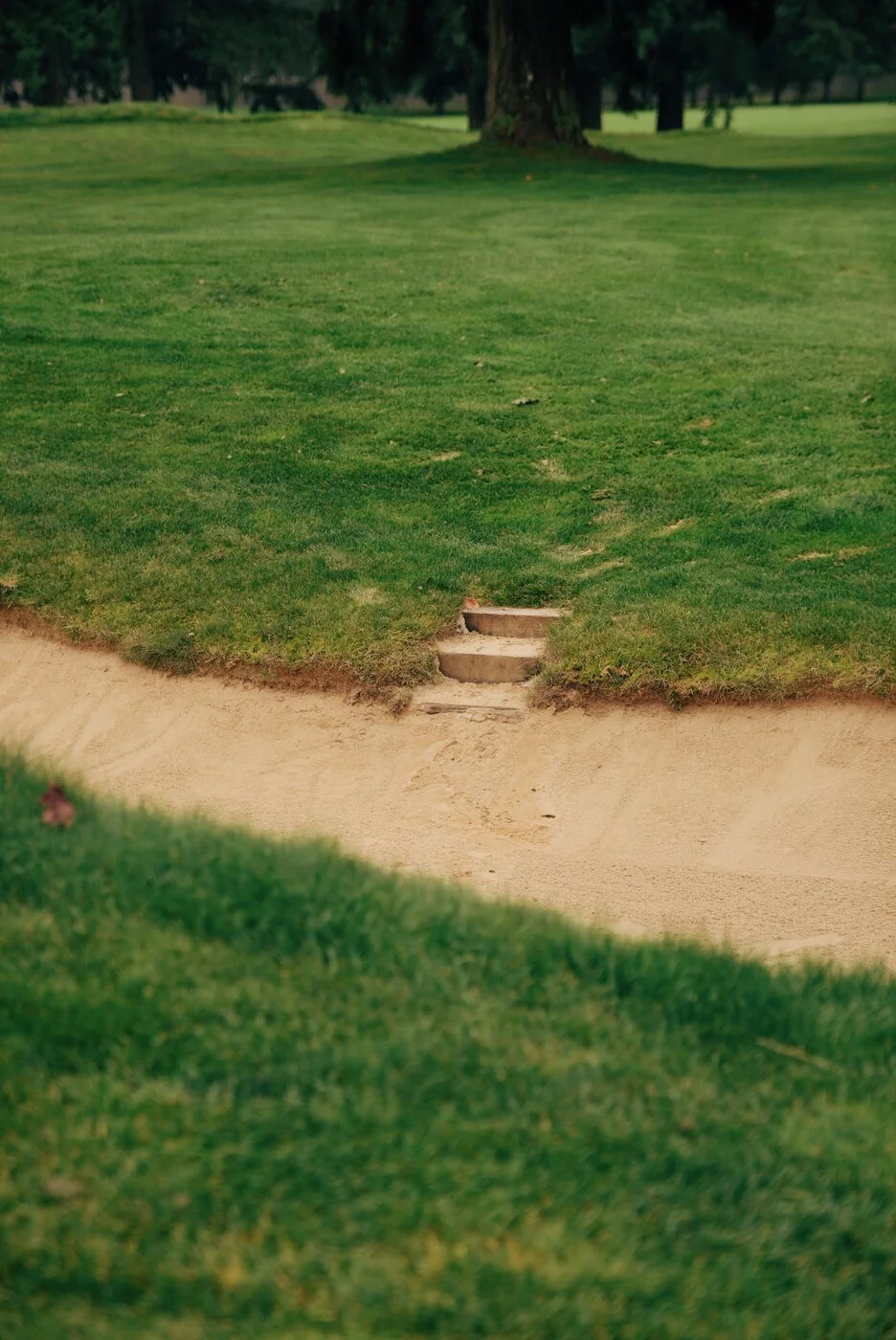 TACOMA CGC - 175.JPG