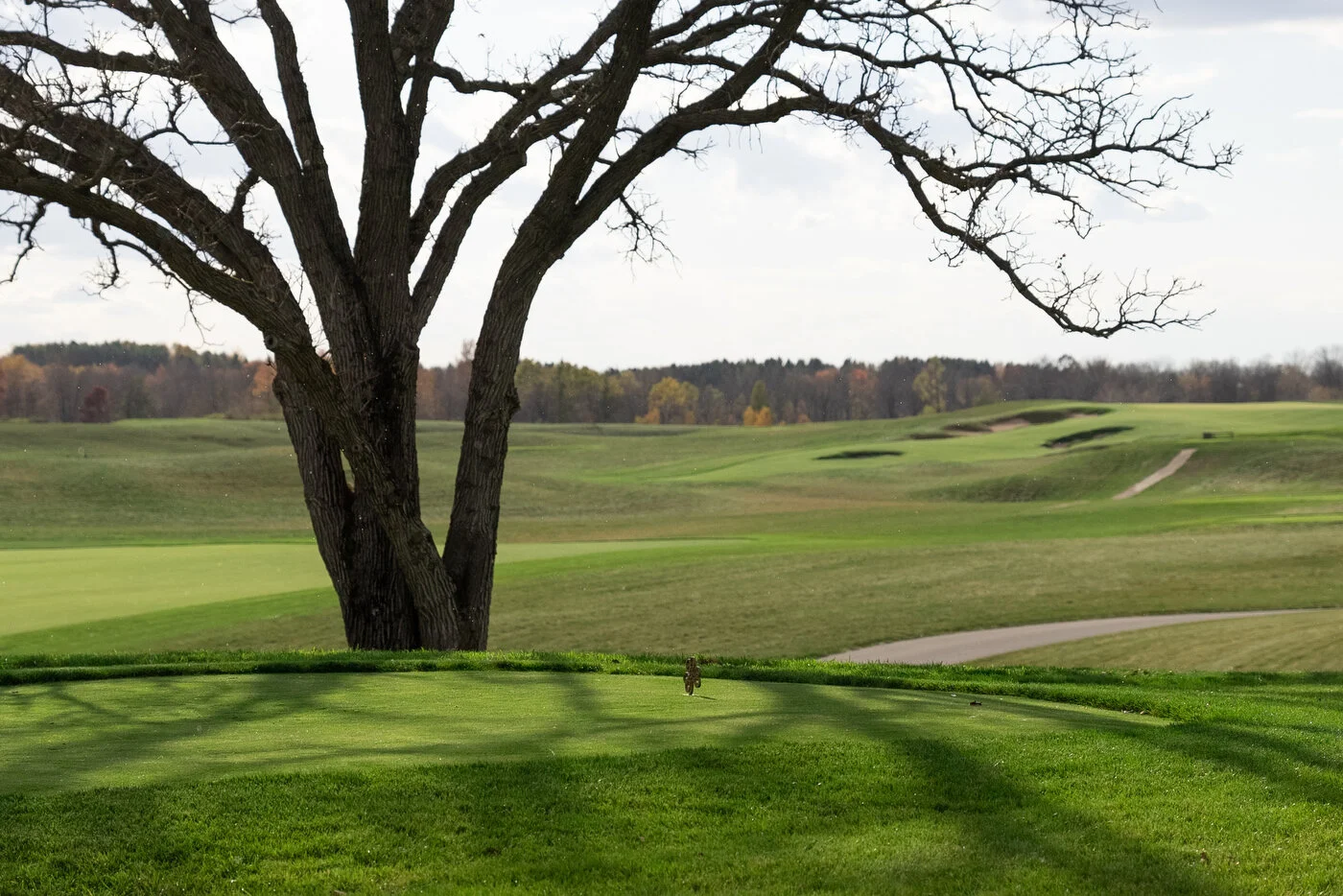 Erin Hills web - 51.JPG