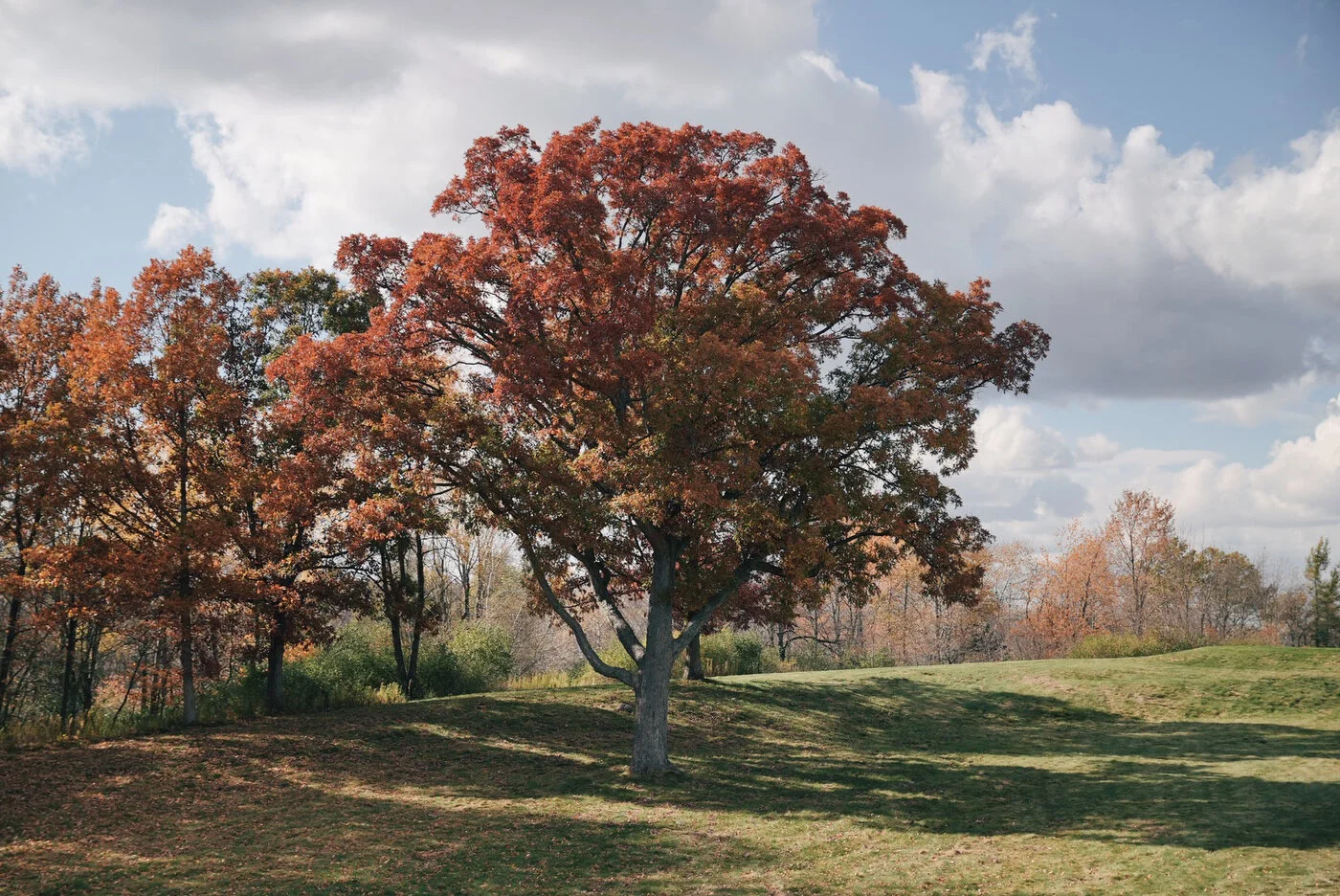 Erin Hills web - 83.JPG
