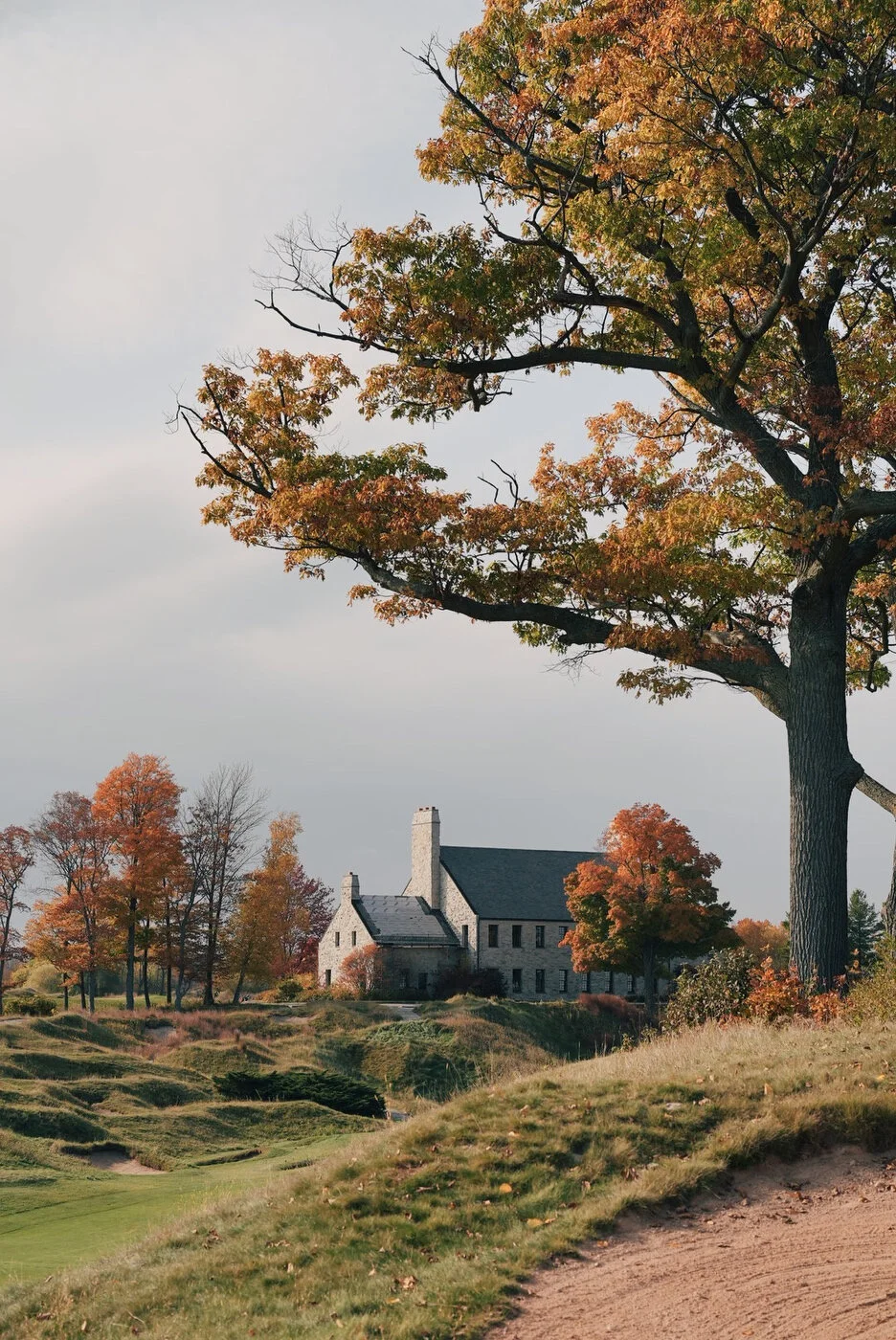 Whistling vsco 67.JPG