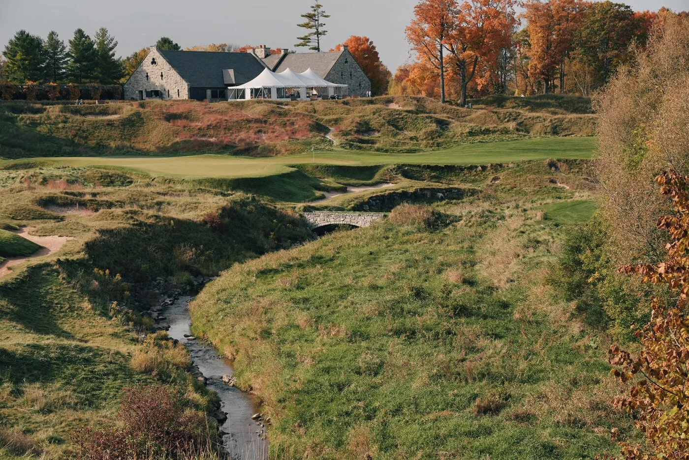 Whistling vsco 70.JPG