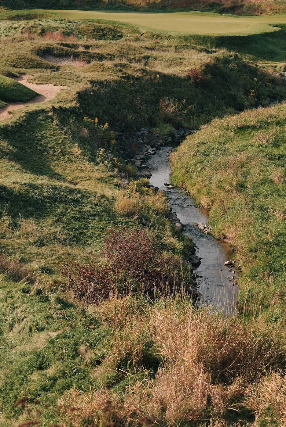 Whistling vsco 72.JPG