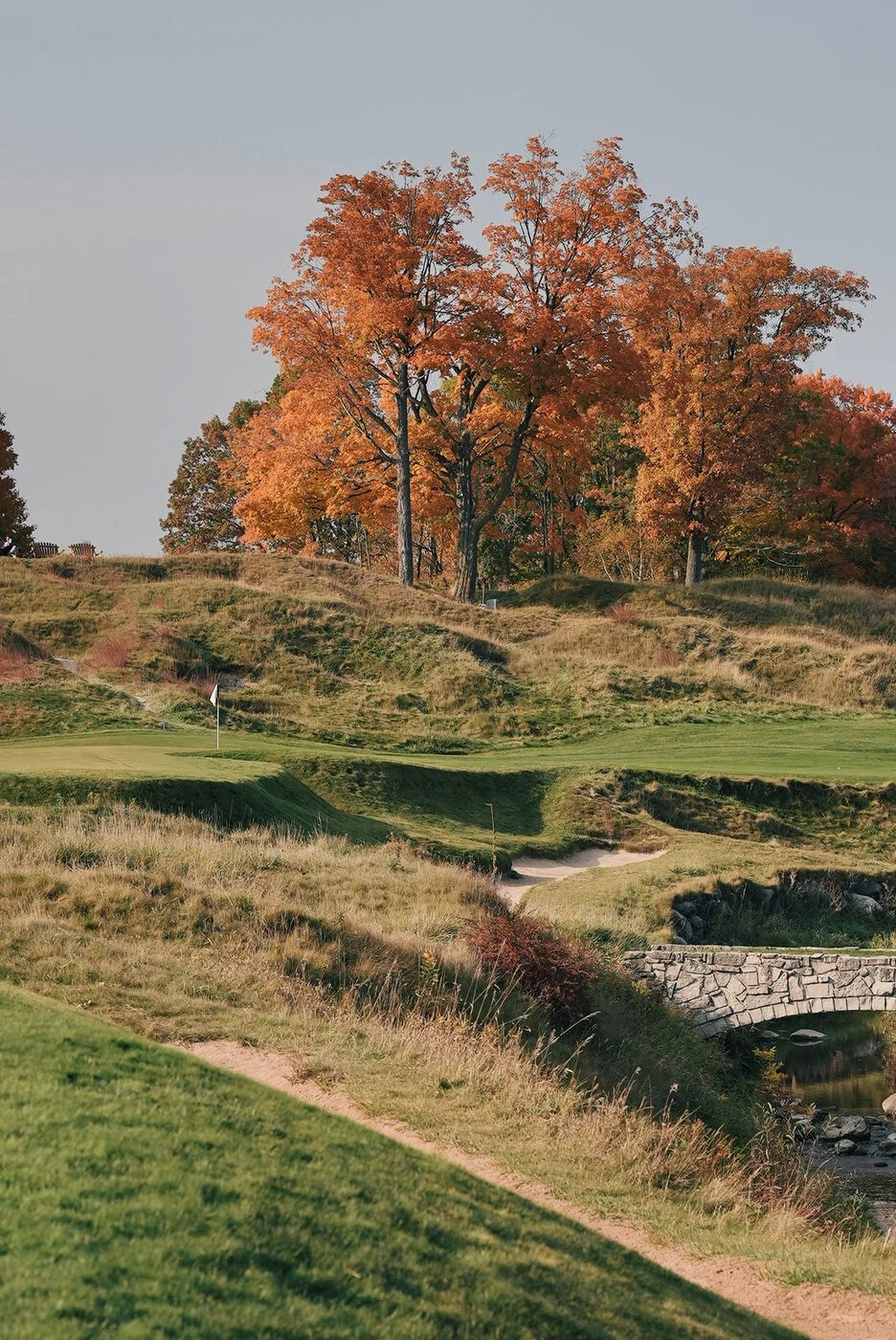 Whistling vsco 77.JPG