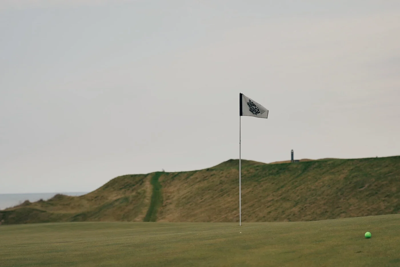 Whistling vsco 111.JPG