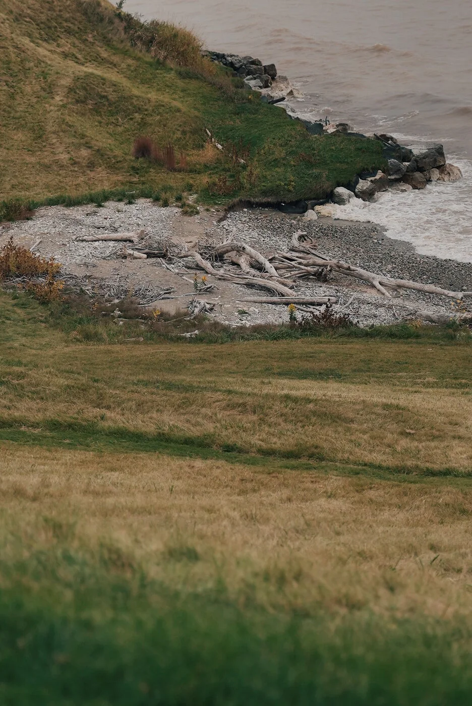 Whistling vsco 110.JPG