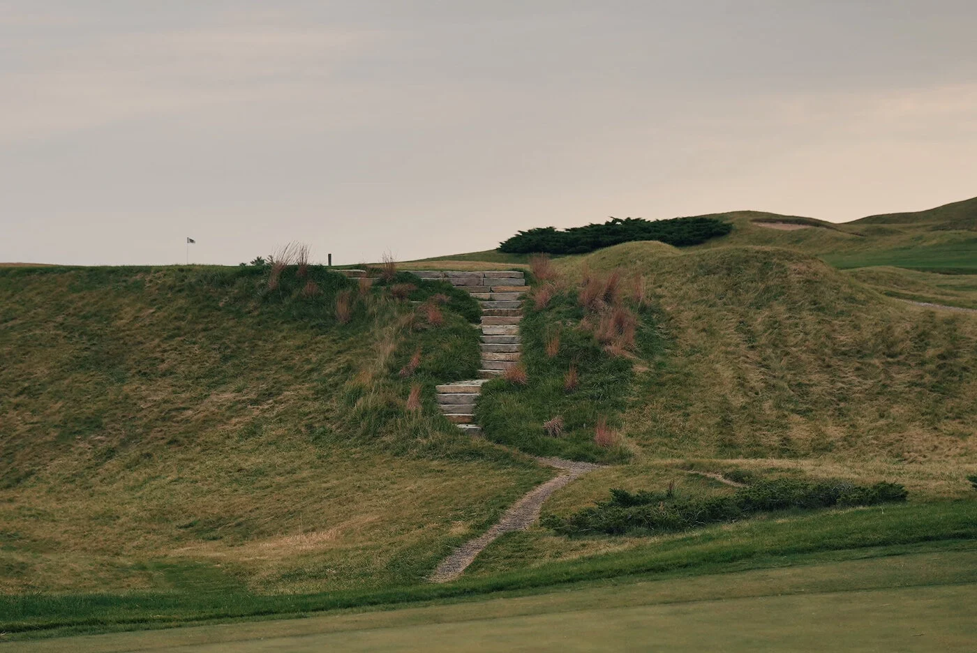 Whistling vsco 114.JPG