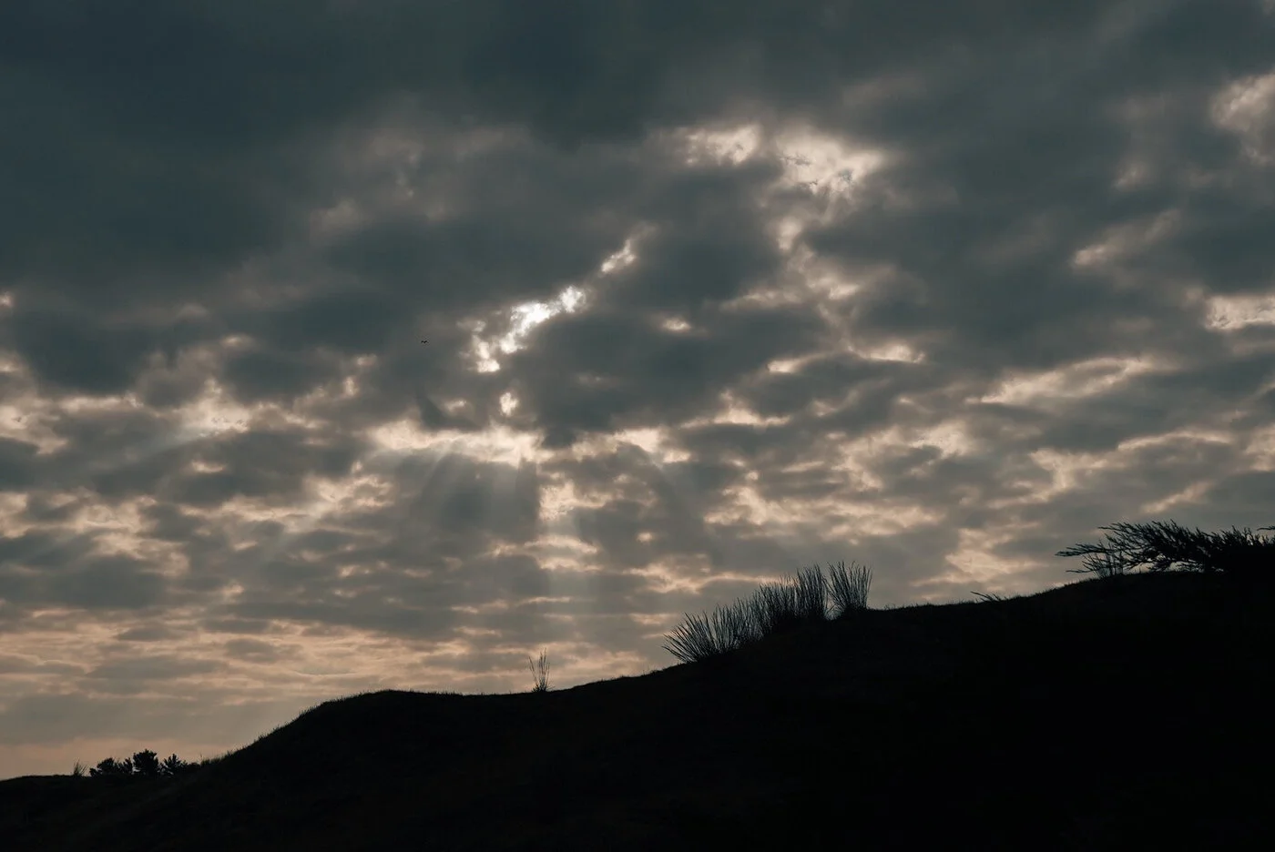 Whistling vsco 121.JPG