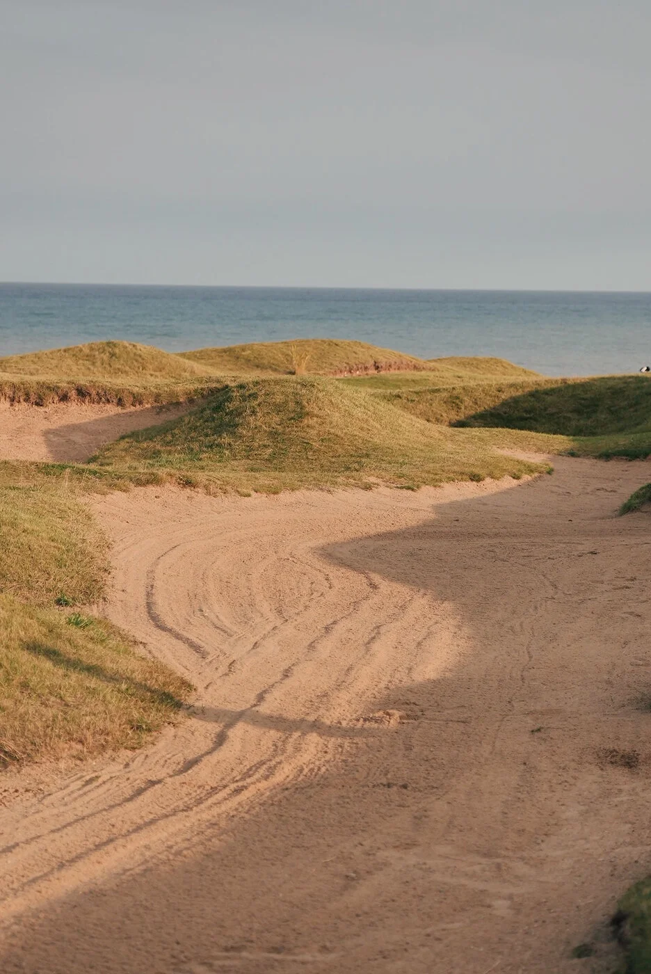 Whistling vsco 139.JPG