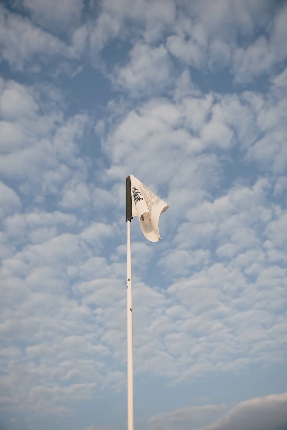 Whistling vsco 145.JPG