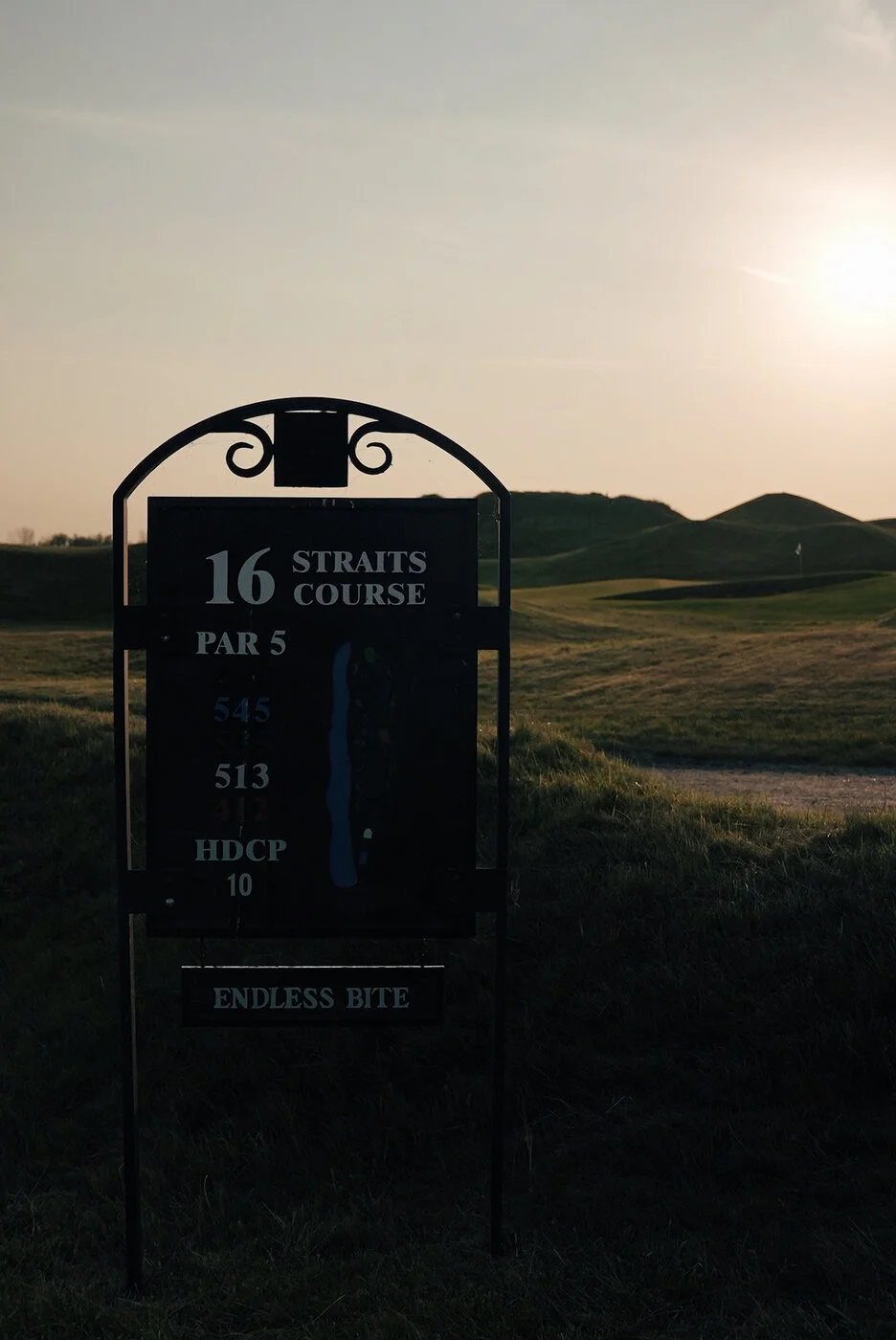 Whistling vsco 147.JPG