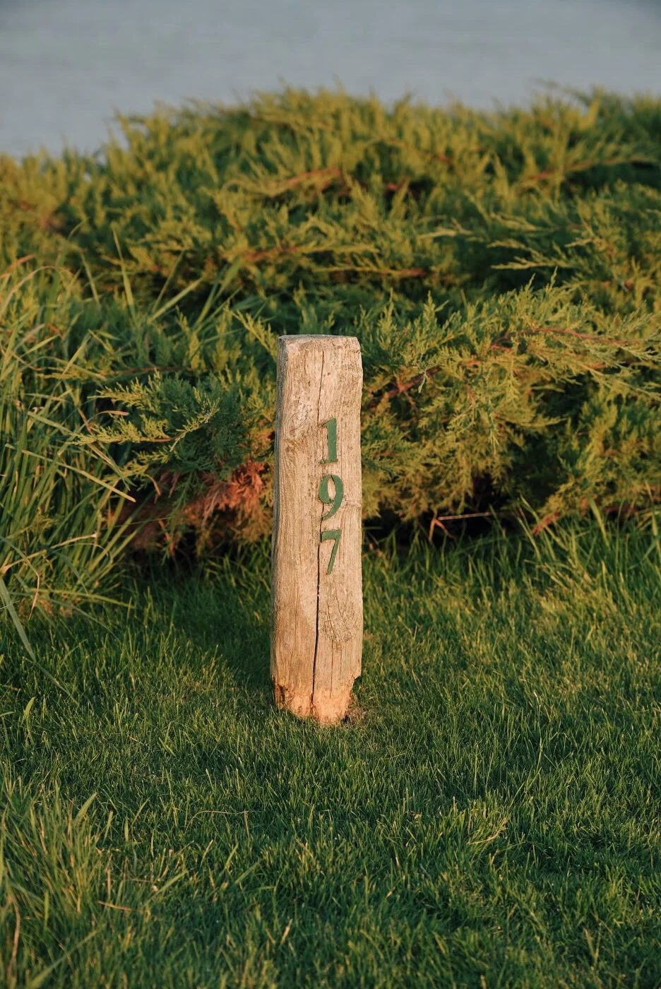 Whistling vsco 159.JPG