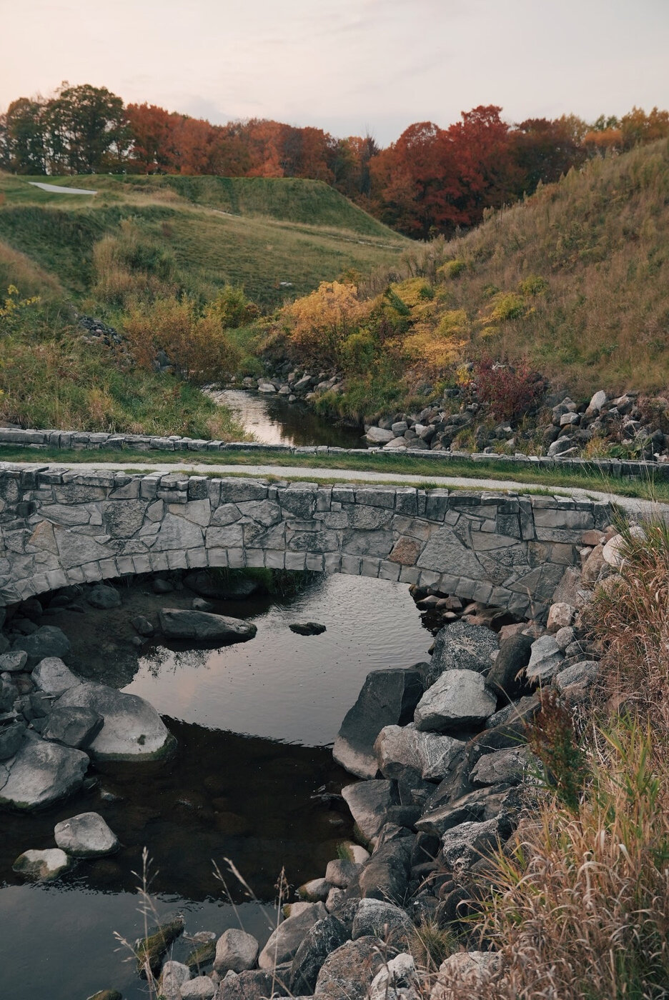 Whistling vsco 190.JPG