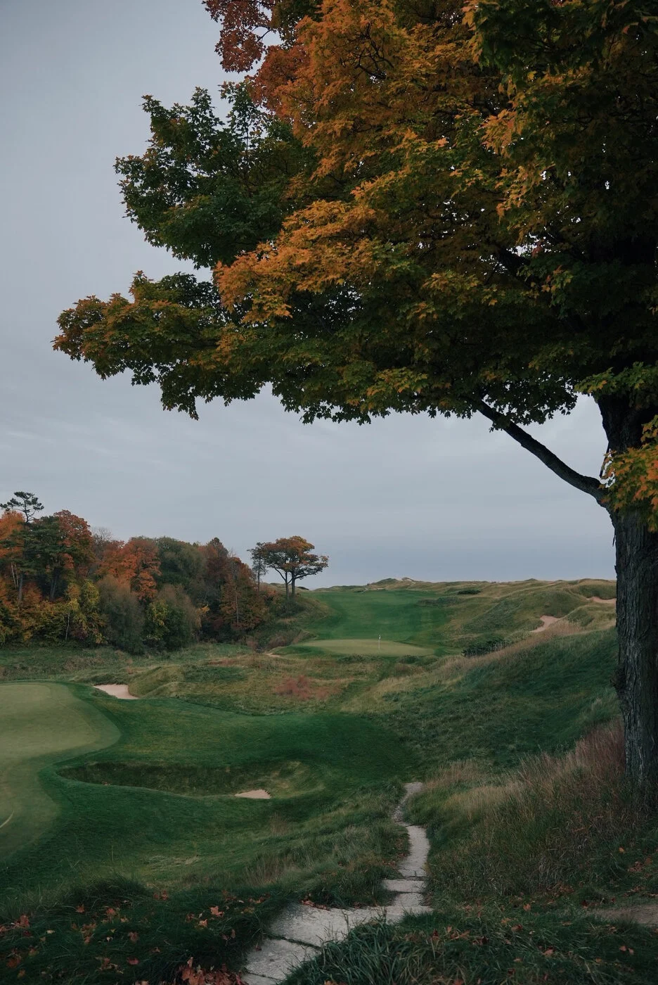 Whistling vsco 200.JPG