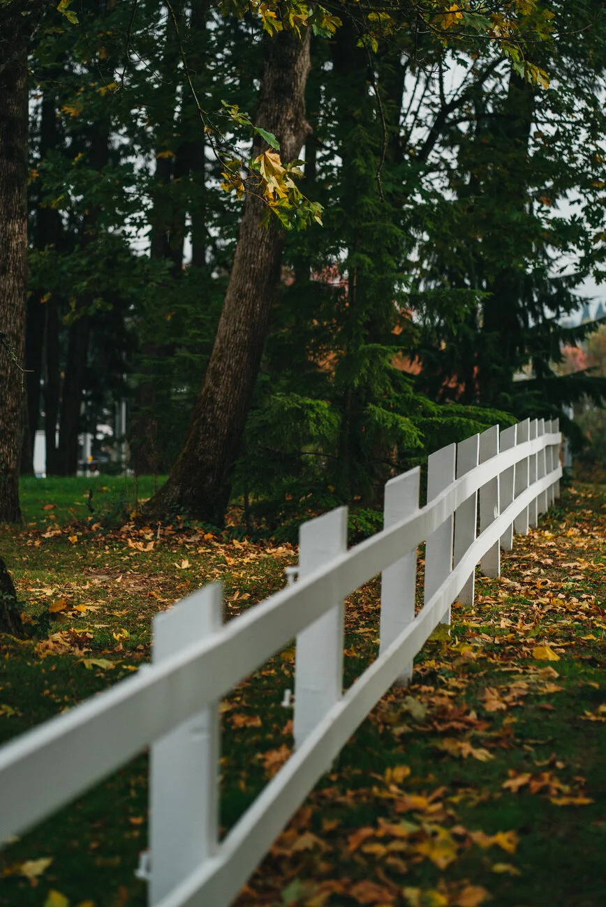 Waverley - Marsh -2.JPG