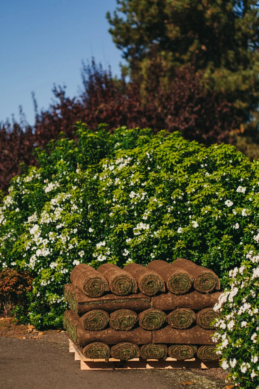 Waverley - Marsh -90.JPG