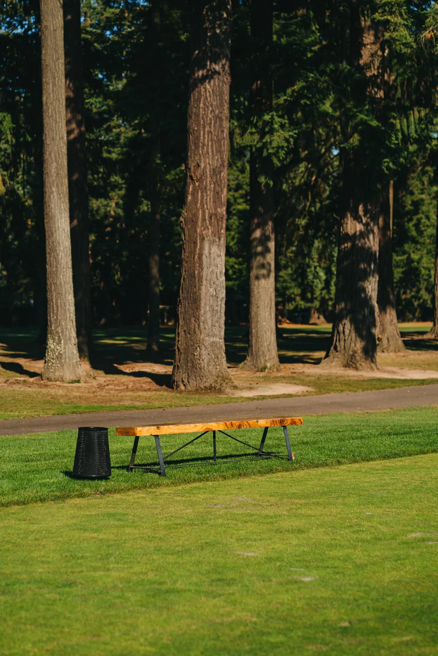 Waverley - Marsh -111.JPG