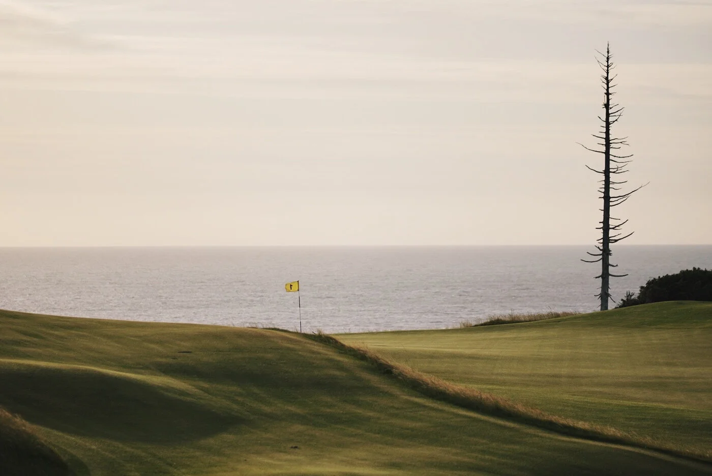 Bandon Summer Quick Edits 137.JPG