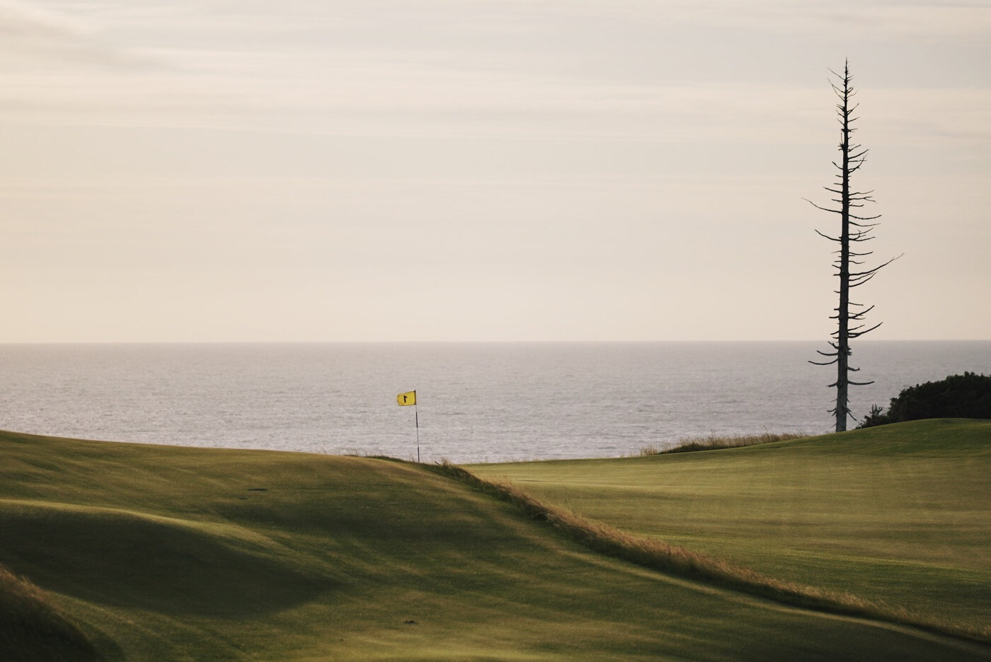 The 1st at Sheep Ranch (16x20 SOLD)