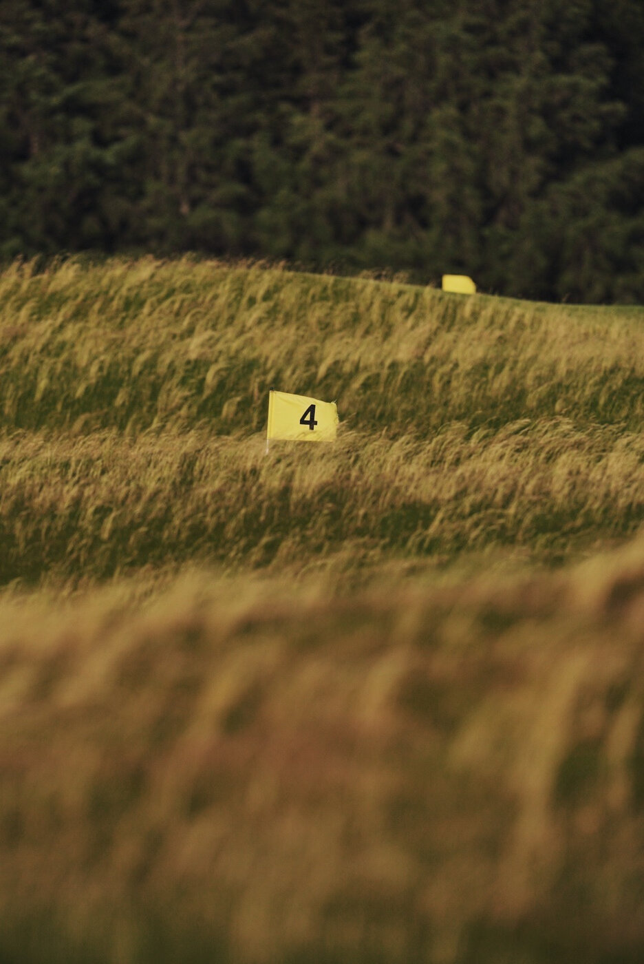 The 4th and 14th flags at Sheep Ranch