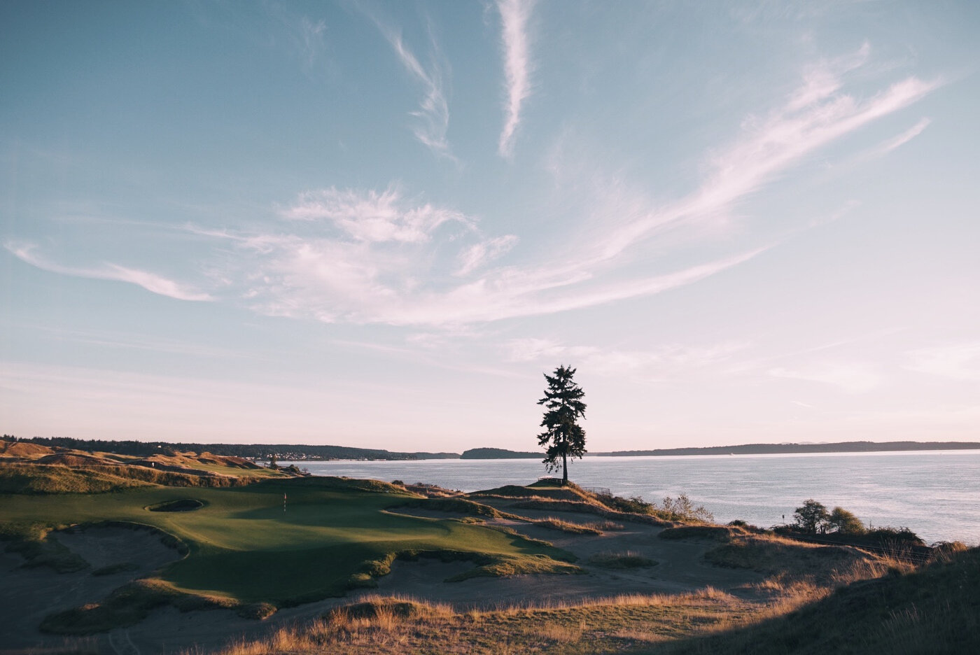 NEW - "Lone Fir" - The 15th at Chambers Bay