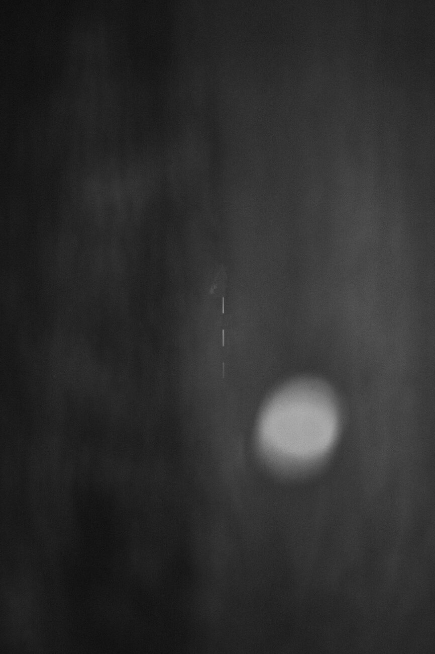 Between Two Firs - Winged Foot