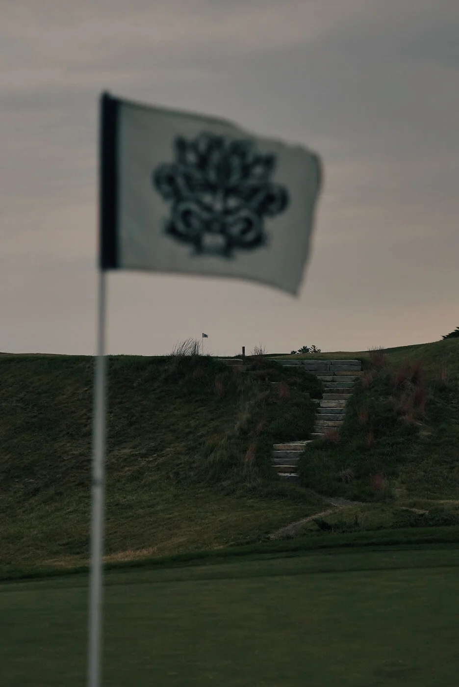 Whistling vsco 115.JPG